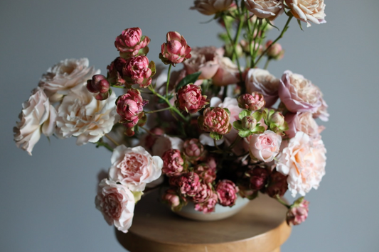 How to Care for Alexandra Farm Garden Spray Roses