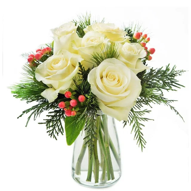 Noel White Roses Accented with Red Berries and Seasonal Greens Without Vase