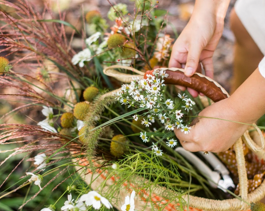 Beyond Green: How to Elevate Your Fall Floral Designs with Unique Foliages