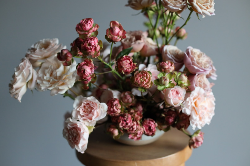 How to Care for Alexandra Farm Garden Spray Roses