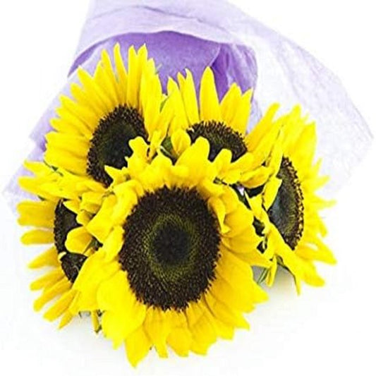 KaBloom : Bouquet of Fresh 5 Yellow Sunflowers in a Glass Vase, Next-Day Delivery