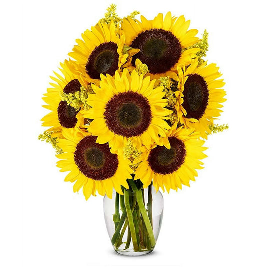 From You Flowers - Stunning Sunflowers for Birthday