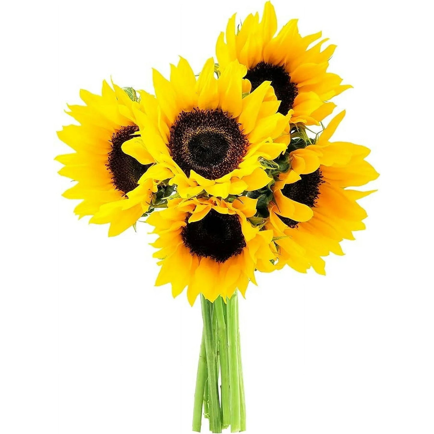 KaBloom : Bouquet of Fresh 5 Yellow Sunflower, Next-Day Delivery, Gift for Every Occasion.