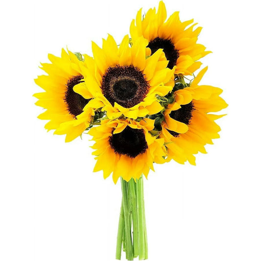 KaBloom : Bouquet of Fresh 5 Yellow Sunflower, Next-Day Delivery, Gift for Every Occasion.