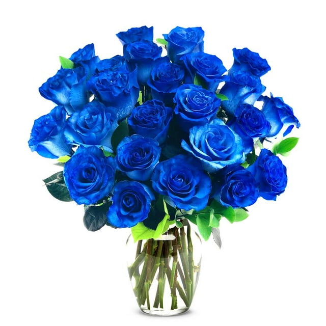 Two Dozen Long Stem Blue Roses in Clear Glass Vase for Birthday