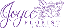Joyce Flor